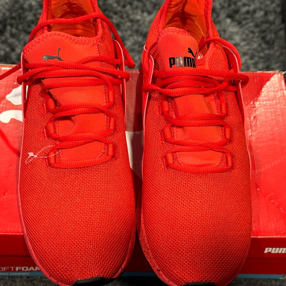 Puma/Electron